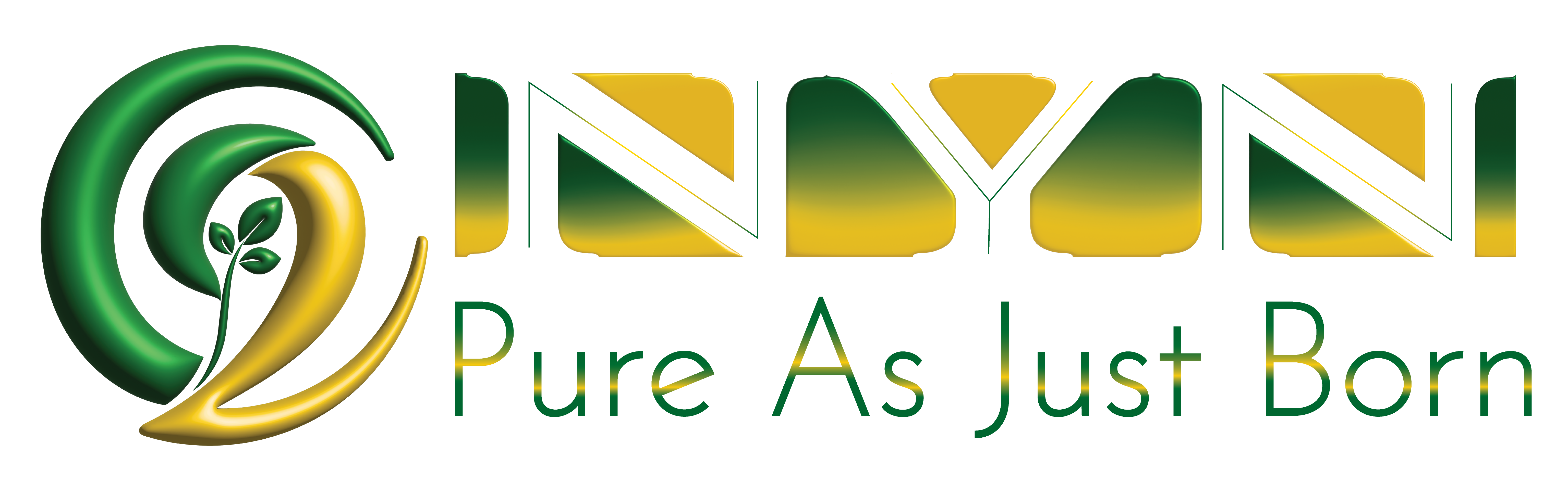 NYN Logo